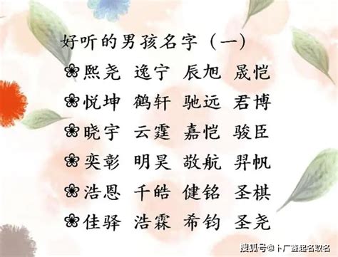 芯名字|芯的的名字寓意是什么意思 芯的的意思